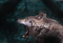 The Power of Positive Habits: Cultivating Productivity and Success