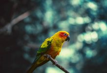 From Streets to Headlines: Global Protests and the Fight for Human Rights