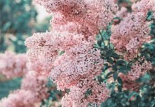 Console Wars: Examining the Battle for Dominance in the Gaming Industry