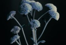 Cross-Platform Gaming: Bridging the Gap Between PC, Mobile, and Console Players